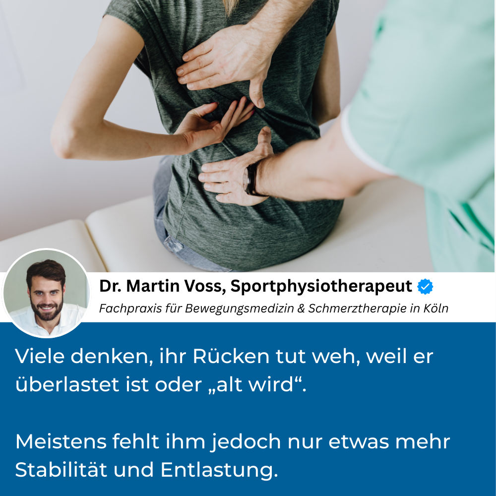 HESTALY™ - Rücken